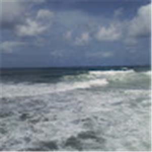 David Issan - תמונה