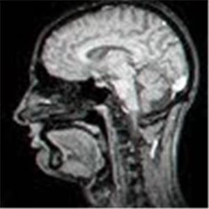 תמונת משתמש