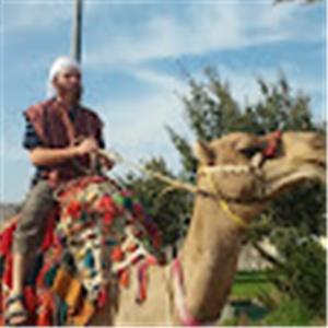 תמונת משתמש