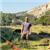 Elad Gindi