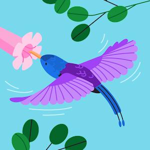 סיון ירושלים - תמונה