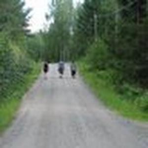 תמונת משתמש