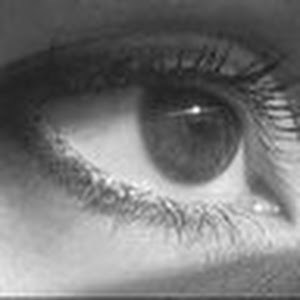 תמונה גנרית לכותב חוות דעת