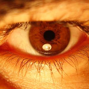 תמונת משתמש