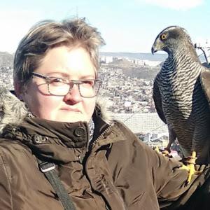 תמונת משתמש