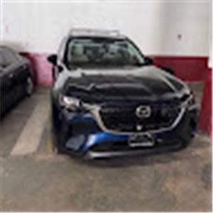 תמונת משתמש