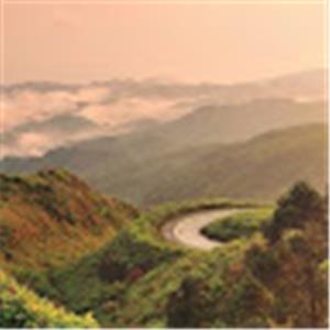 תמונת משתמש