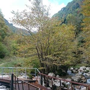 תמונת משתמש