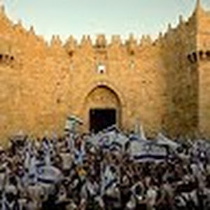 תמונת משתמש