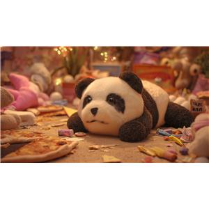 תמונת משתמש