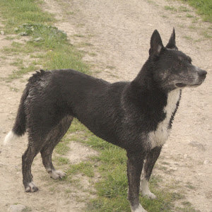 תמונת משתמש