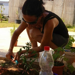 תמונת משתמש