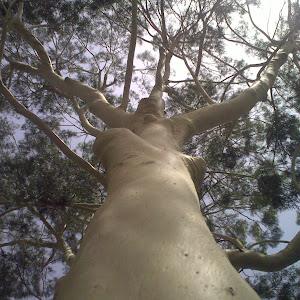 ערן - תמונה ערן - תמונה