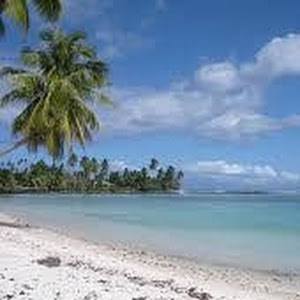 תמונת משתמש