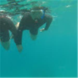 gamitay - תמונה