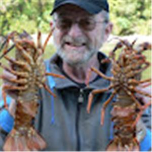 תמונת משתמש