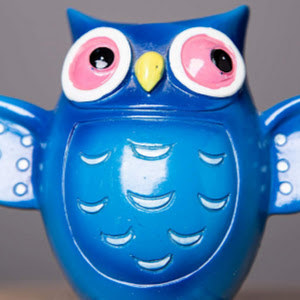 תמונת משתמש