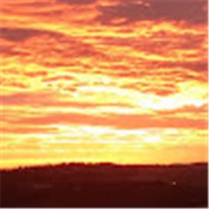 תמונת משתמש