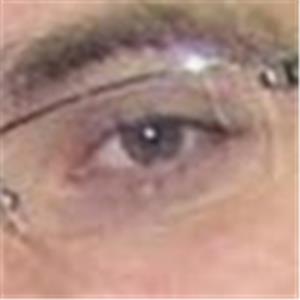 תמונת משתמש