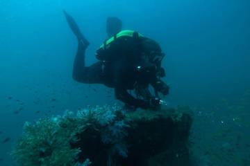 נועם  - תמונה