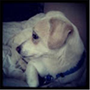 תמונת משתמש