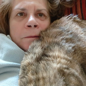 חוות דעת - תמונה