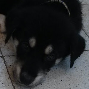 תמונת משתמש