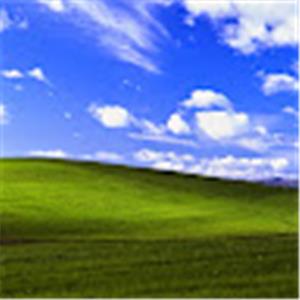 תמונת משתמש