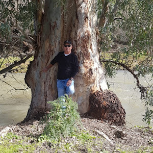 תמונה גנרית לכותב חוות דעת