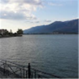 תמונת משתמש