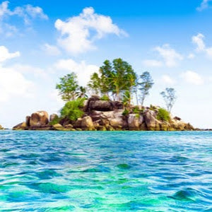 תמונת משתמש