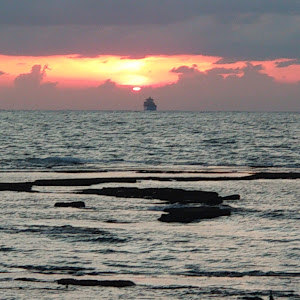 תמונת משתמש