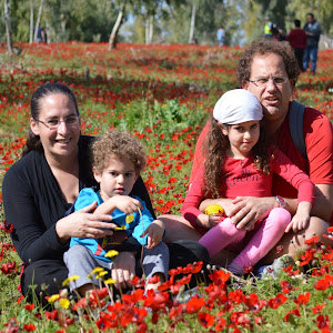 תמונת משתמש