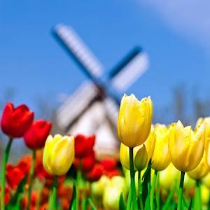 תמונת משתמש