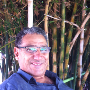 אלי  - תמונה