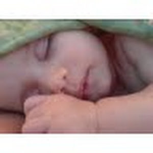 GaliLevy - תמונה