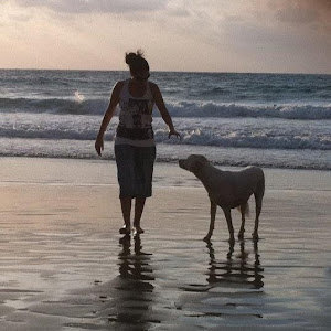 תמונה גנרית לכותב חוות דעת