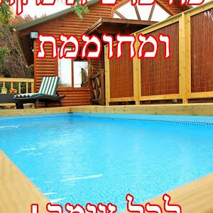 גולדי - תמונה