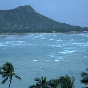 תמונת משתמש