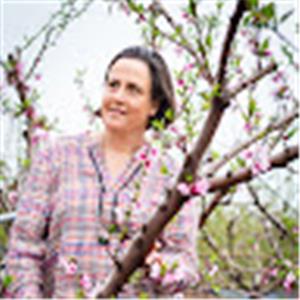 תמונת משתמש