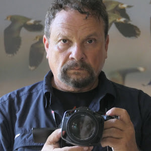 תמונת משתמש