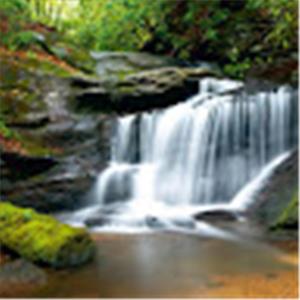 תמונת משתמש