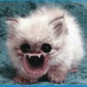 תמונת משתמש