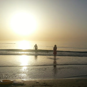 תמונת משתמש