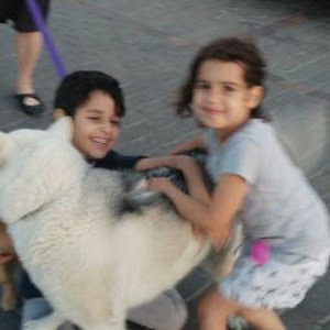 תמונת משתמש