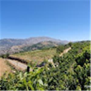 תמונת משתמש