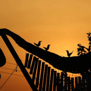 תמונת משתמש