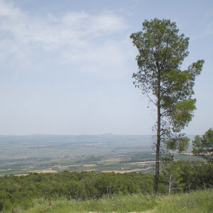 תמונת משתמש