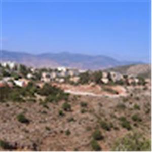 תמונת משתמש