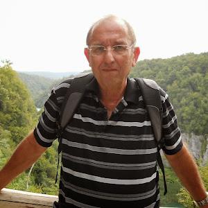 תמונת משתמש